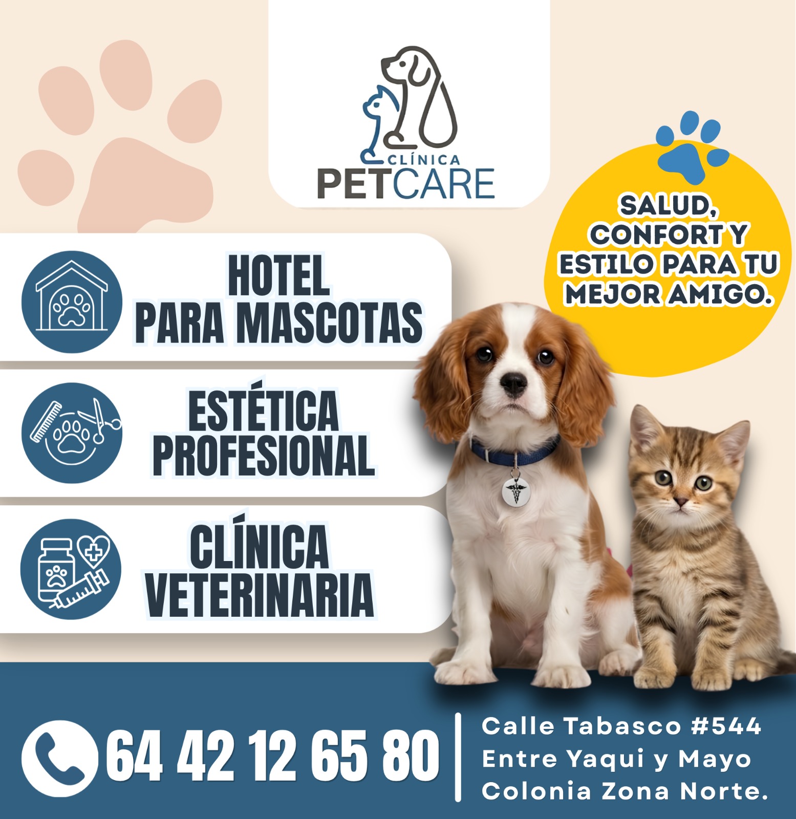 Flyer Clínica PetCare