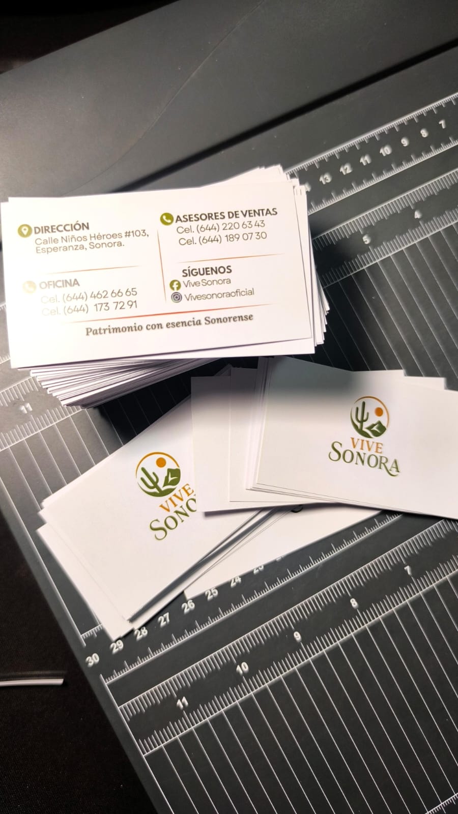 Tarjeta Vive Sonora